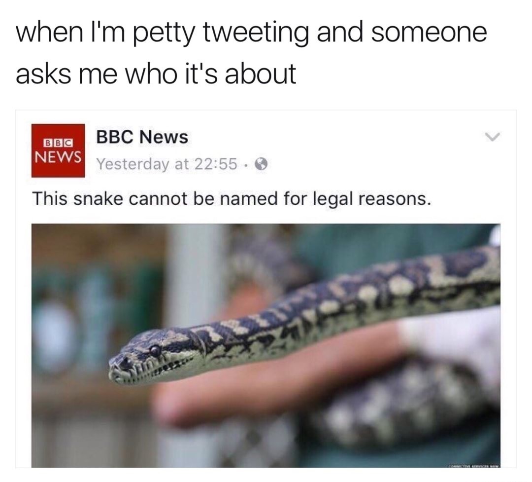 meme about petty tweeting and not naming that snake