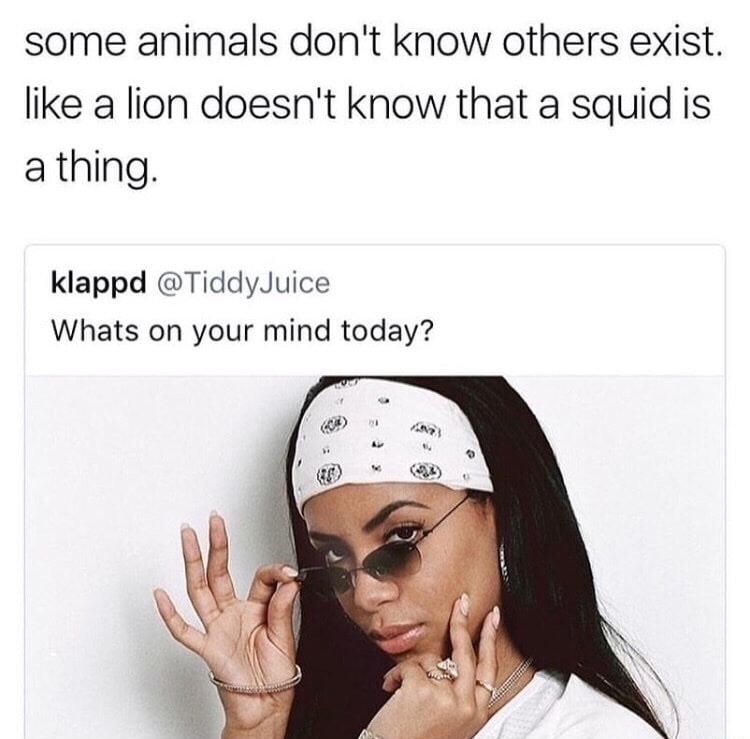 aaliyah singer - some animals don't know others exist. a lion doesn't know that a squid is a thing klappd @ TiddyJuice Whats on your mind today?