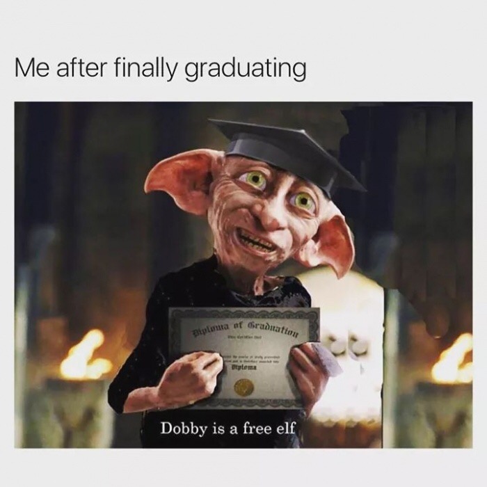 graduation meme - Me after finally graduating Sraduation ploma of Gradna Diploma Dobby is a free elf