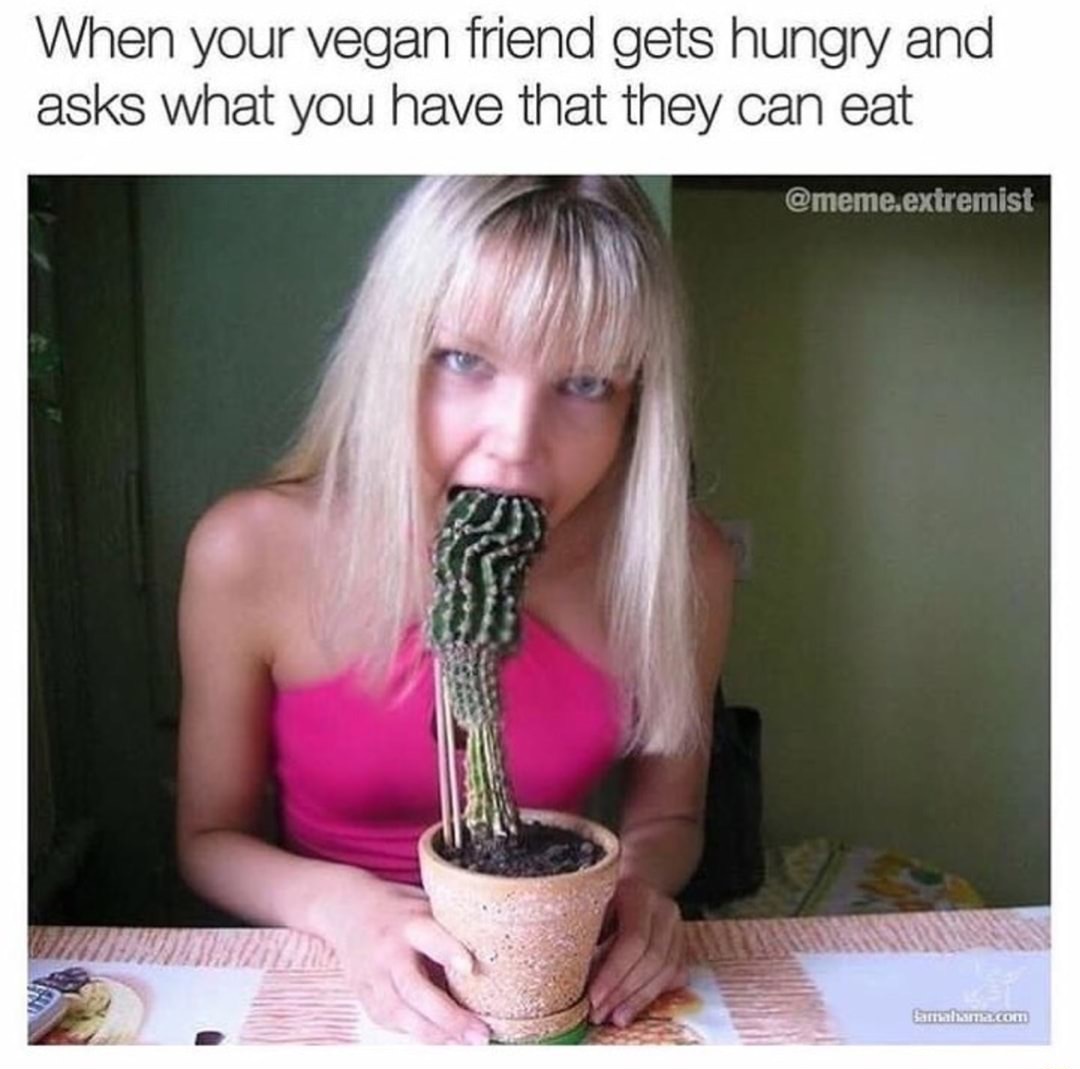 JPEG - When your vegan friend gets hungry and asks what you have that they can eat .extremist Samahama.com