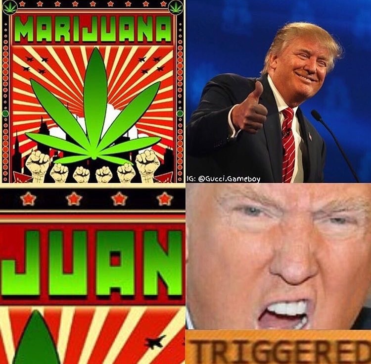 Donald Trump meme of 45 being triggered by Juan in Marijuana