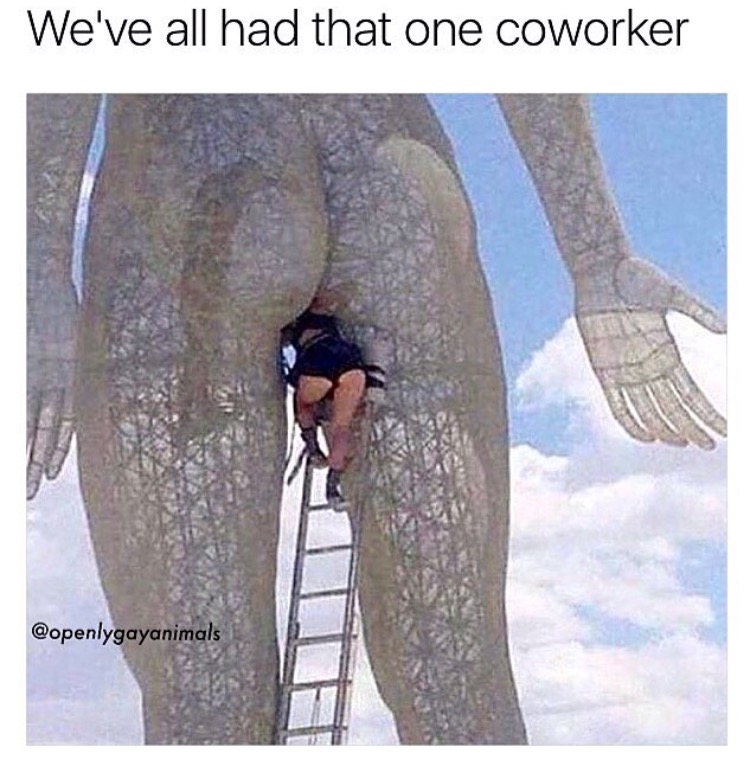 Funny meme of woman climbing into butt of a statue and caption about there is always that one co-worker.