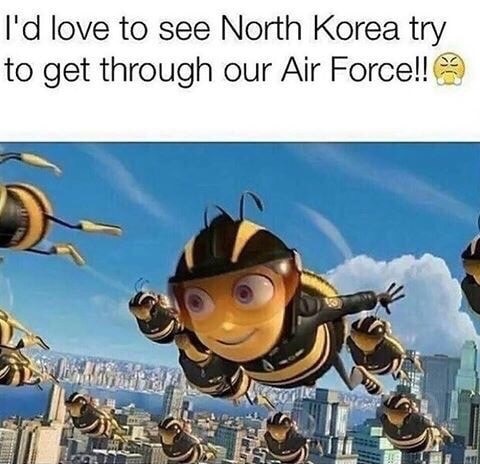 Meme about bumble bee airforce