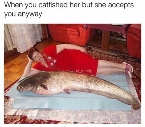 Catfished meme but still in love