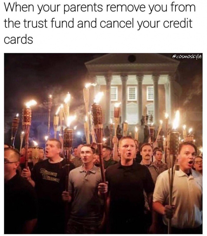 memes - neo nazi march charlottesville - When your parents remove you from the trust fund and cancel your credit cards