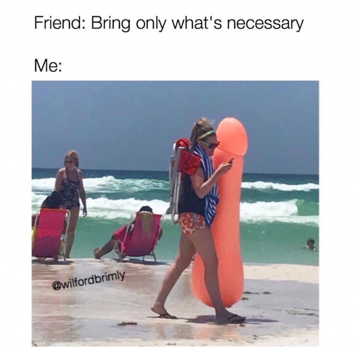 memes - Friend Bring only what's necessary Me