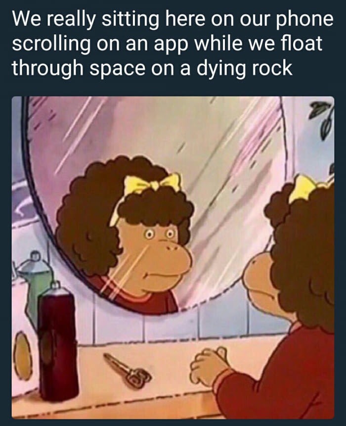 memes - bad hair day meme - We really sitting here on our phone scrolling on an app while we float through space on a dying rock