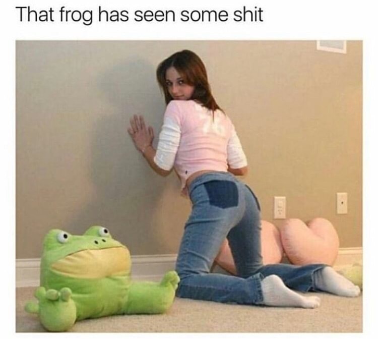 memes - froggo memes - That frog has seen some shit