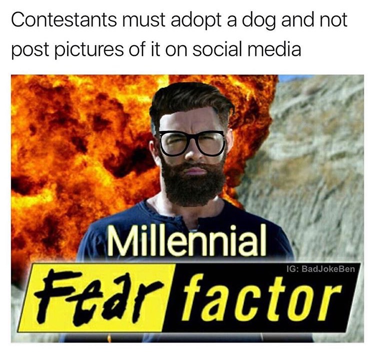 meme stream - fear factor meme - Contestants must adopt a dog and not post pictures of it on social media Ig BadJokeBen Millennial Fear factor