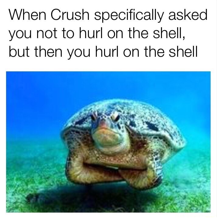 meme stream - happy sea turtle - When Crush specifically asked you not to hurl on the shell, but then you hurl on the shell