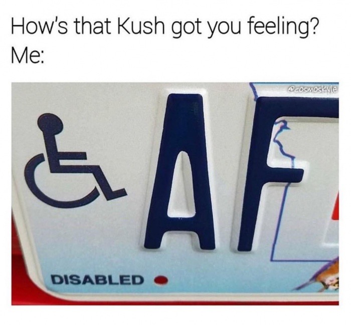 meme stream - signage - How's that Kush got you feeling? Me & Af Disabled O
