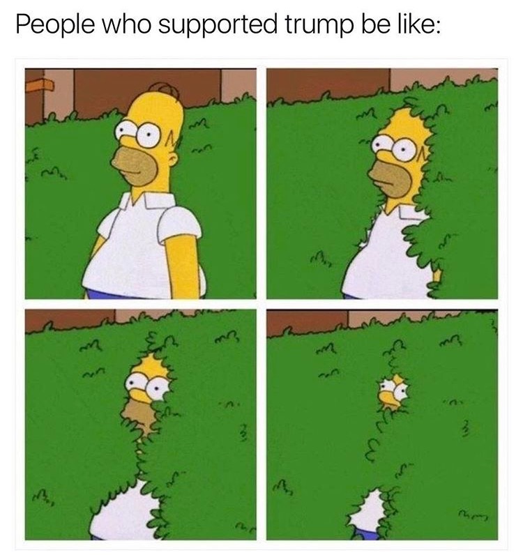 memes about oversharing - People who supported trump be