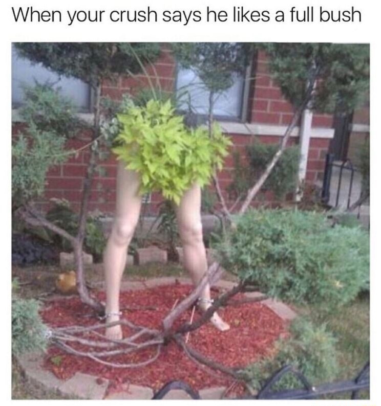 When your crush says he a full bush