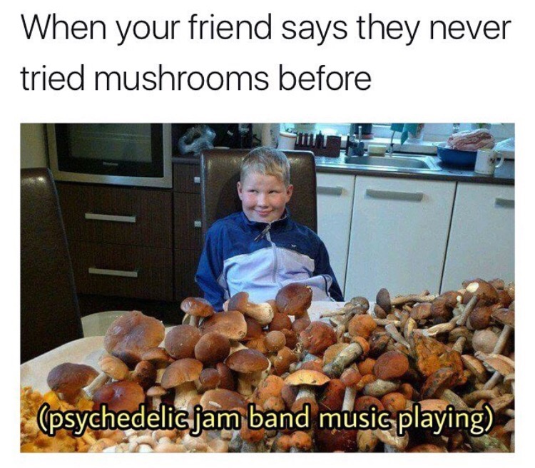 mushroom milk meme - When your friend says they never tried mushrooms before psychedelic jam band music playing