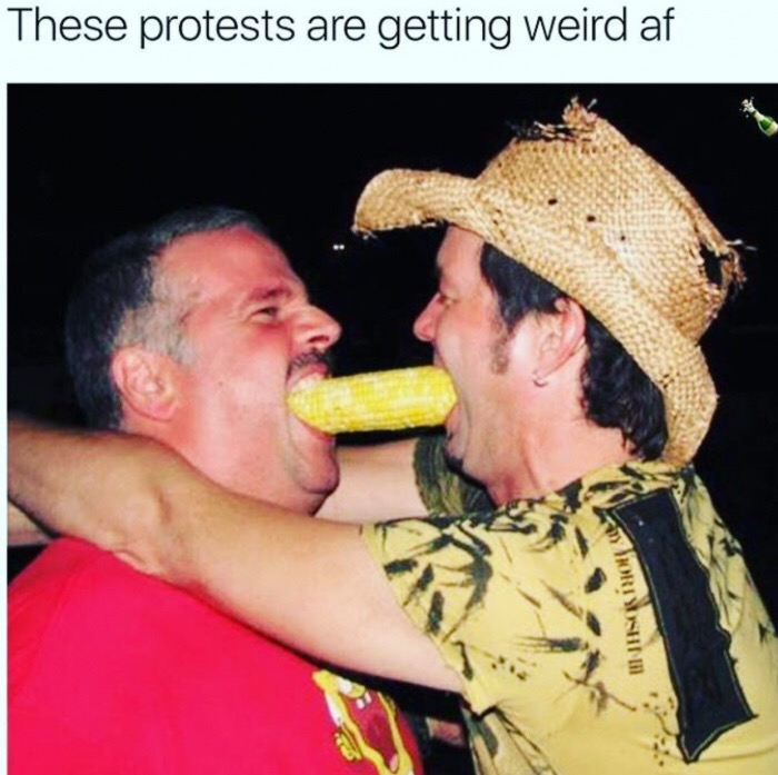 dank meme cursed gay porn - These protests are getting weird af Dvorishi