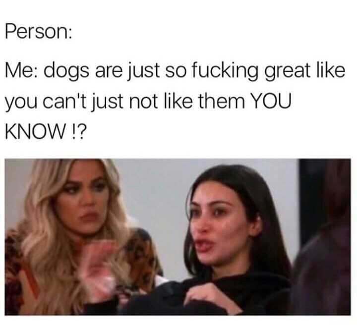 just want to talk to one person meme - Person Me dogs are just so fucking great you can't just not them You Know !?