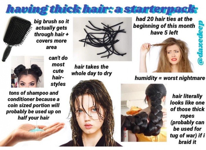 thick hair memes - having thick hair astarterpack big brush so it actually gets through hair covers more area had 20 hair ties at the beginning of this month have 5 left hair takes the whole day to dry humidity worst nightmare can't do most cute hair styl