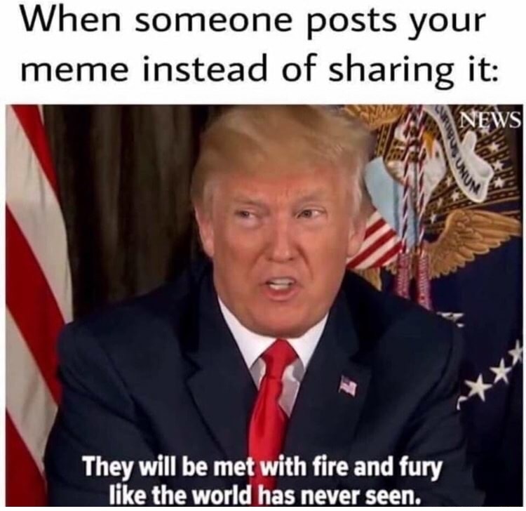 photo caption - When someone posts your meme instead of sharing it Vews They will be met with fire and fury the world has never seen.
