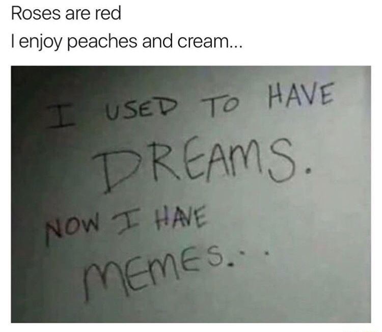 roses are red i enjoy peaches and cream - Roses are red I enjoy peaches and cream... I Used To Have Dreams. Now I Have Memes..