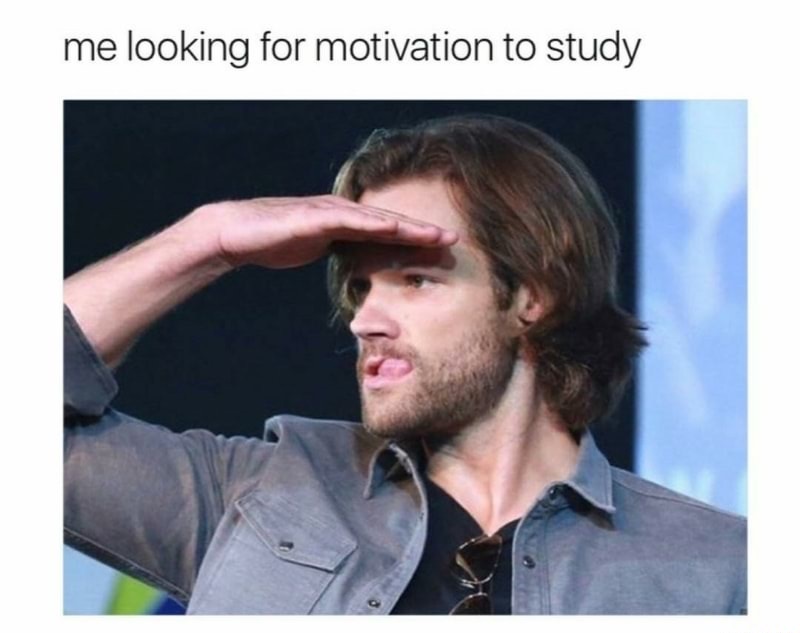looking for my motivation to study memes - me looking for motivation to study