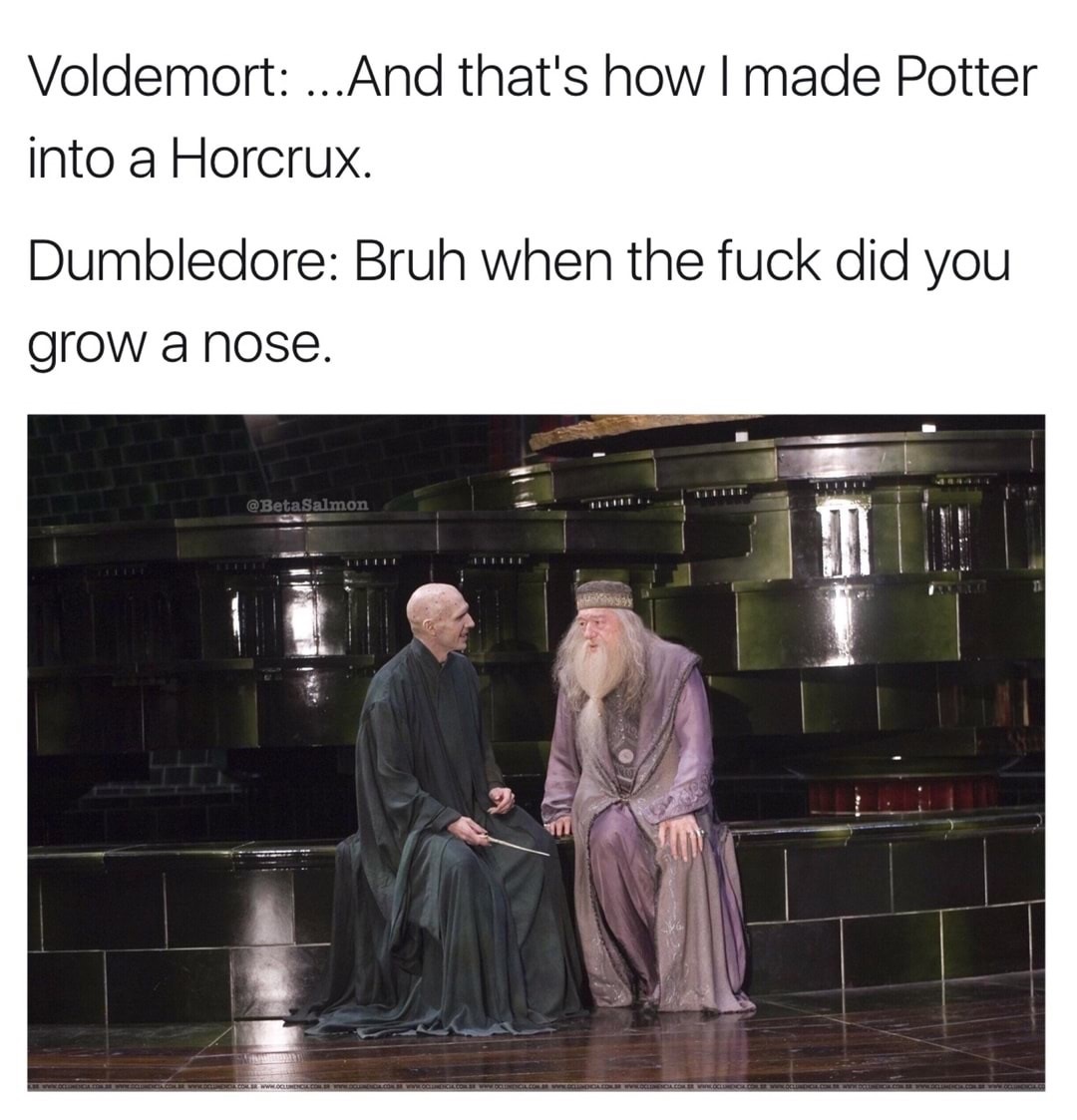 dumbledore voldemort - Voldemort ... And that's how I made Potter into a Horcrux. Dumbledore Bruh when the fuck did you grow a nose. Gol