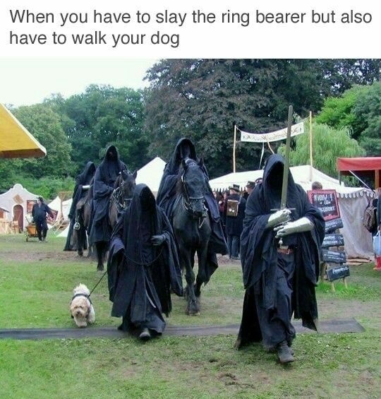 nazgul dog meme - When you have to slay the ring bearer but also have to walk your dog