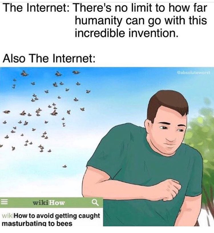 wikihow memes - The Internet There's no limit to how far humanity can go with this incredible invention. Also The Internet wikiHow wikiHow to avoid getting caught masturbating to bees