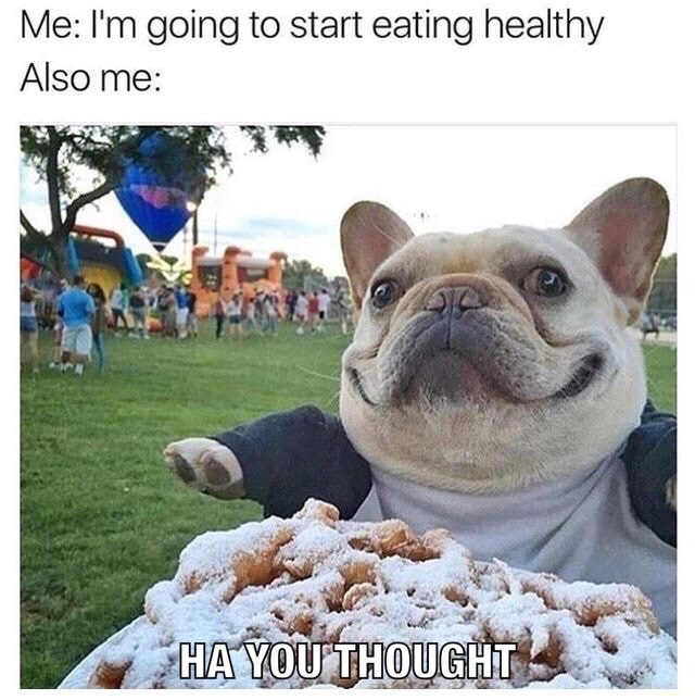 french bulldog meme - Me I'm going to start eating healthy Also me Ha You Thought