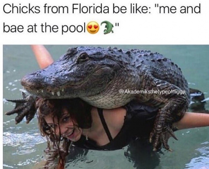 Alligators - Chicks from Florida be "me and bae at the pool ." @ Akademiksthetypeofnigga