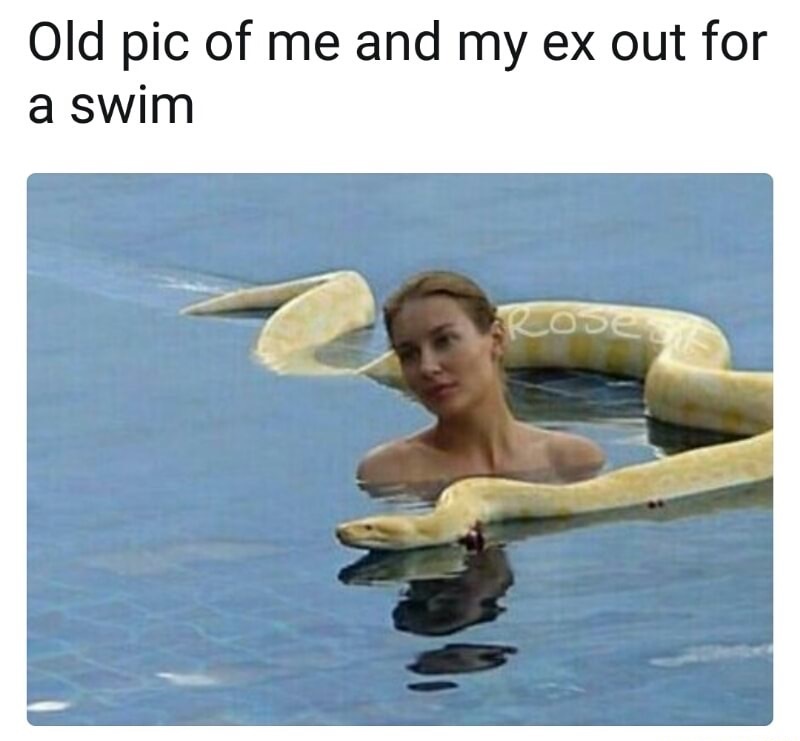 Funny meme of woman in pool with a snake of ex being the snake
