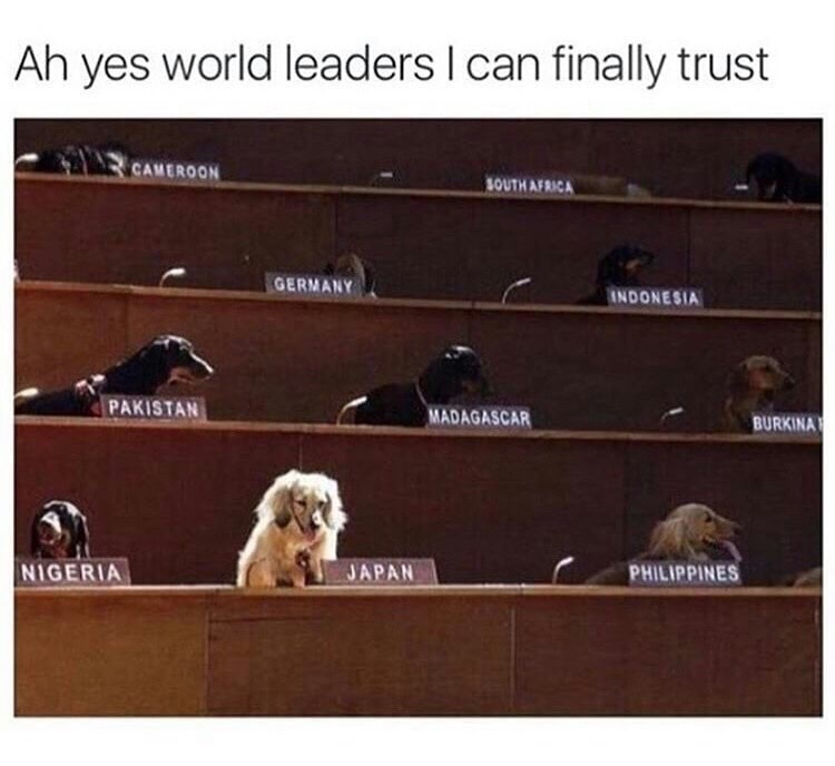 animal memes - Ah yes world leaders I can finally trust Cameroon South Africa Germany Indonesia Pakistan Madagascar Burkina Nigeria Japan Philippines
