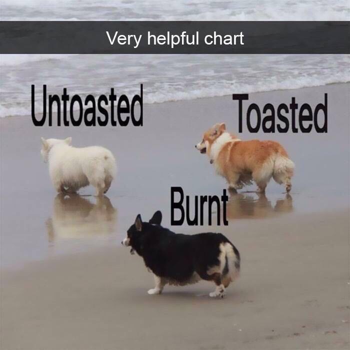 meme stream - corgi toast - Very helpful chart Untoasted Toasted Burnt