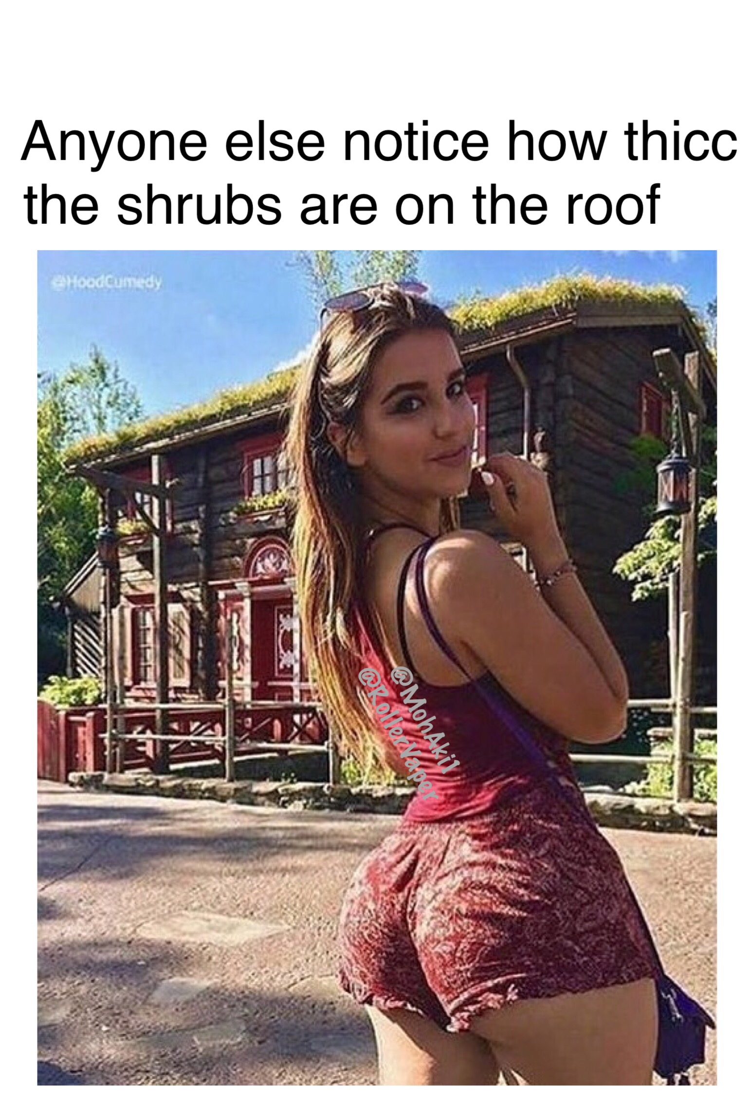 photo caption - Anyone else notice how thicc the shrubs are on the roof wy