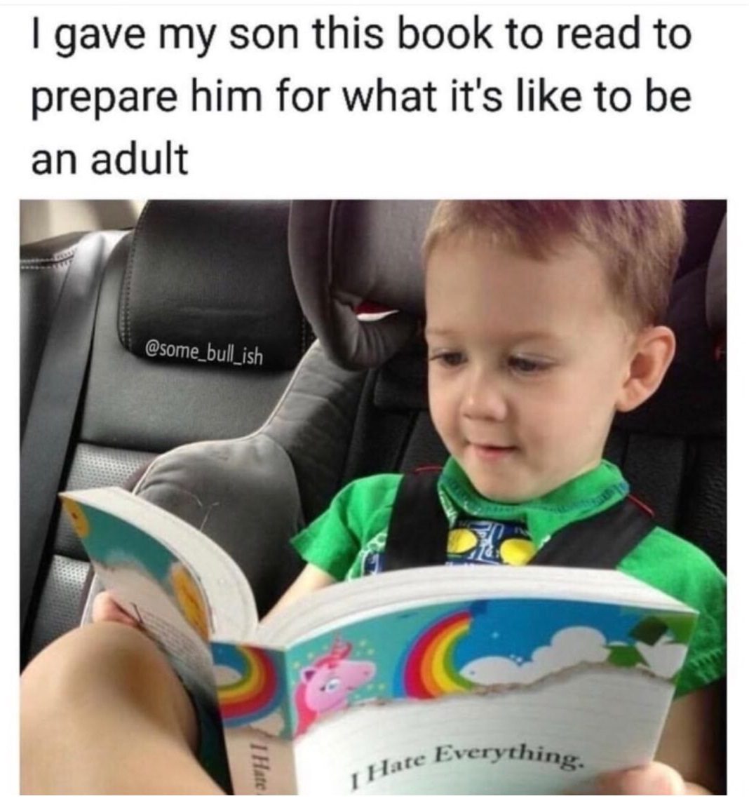 hate everything kid - I gave my son this book to read to prepare him for what it's to be an adult I Hate ate Everything. I Hate Eve