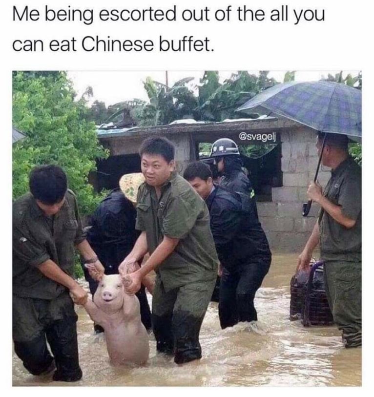 donald trump puerto rico meme - Me being escorted out of the all you can eat Chinese buffet.