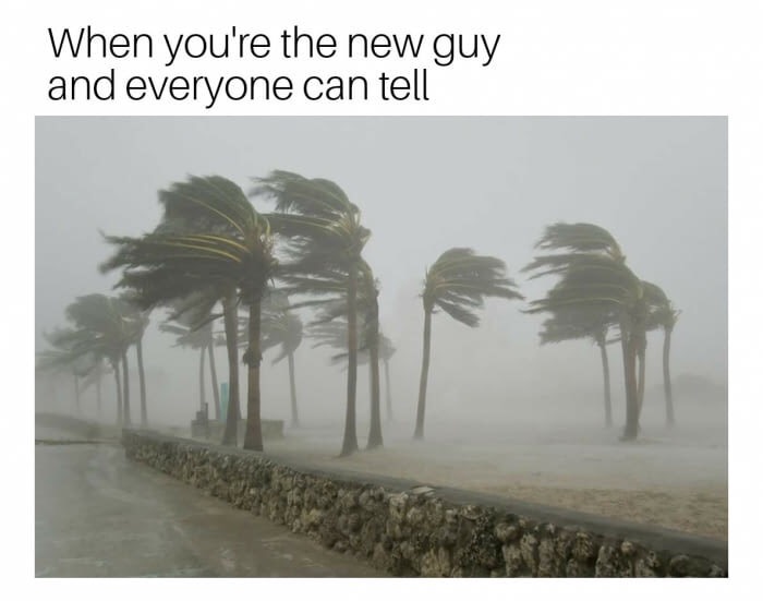only in florida meme - When you're the new guy and everyone can tell