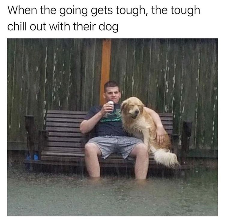 When the going gets tough, the tough chill out with their dog