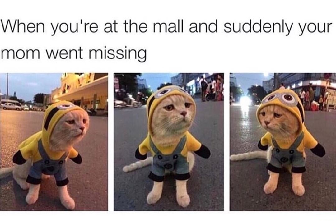 photo caption - When you're at the mall and suddenly your mom went missing
