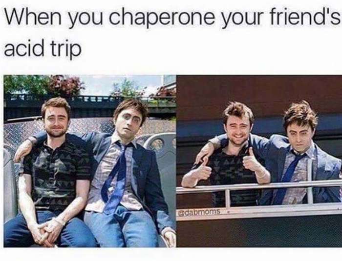 Daniel Radcliffe meme about chaperoning your friends acid trip.