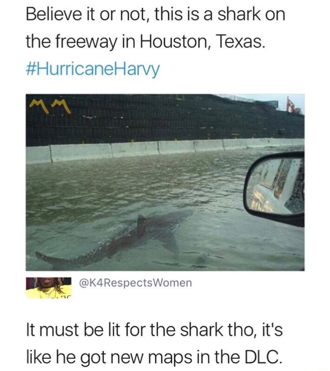 Meme of shark on the freeway in Houston