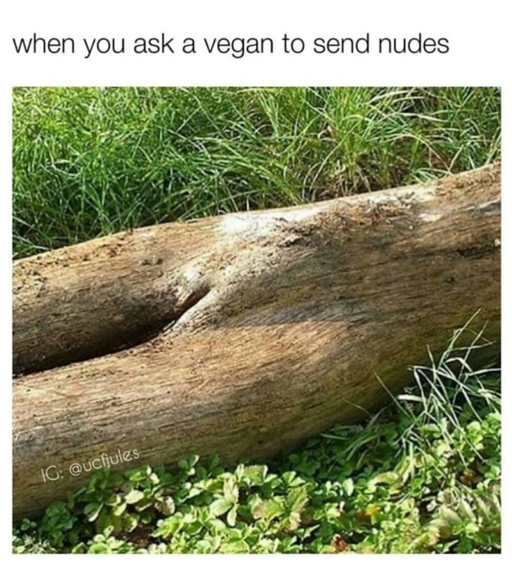 When a vegan wants to send nudes, pic of tree looking like a human.
