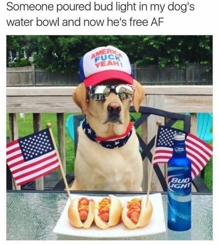 fourth of july dog gifs - Someone poured bud light in my dog's water bowl and now he's free Af Pfuck Veam Bud Ight
