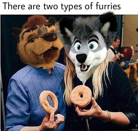 there are two types of furries - There are two types of furries
