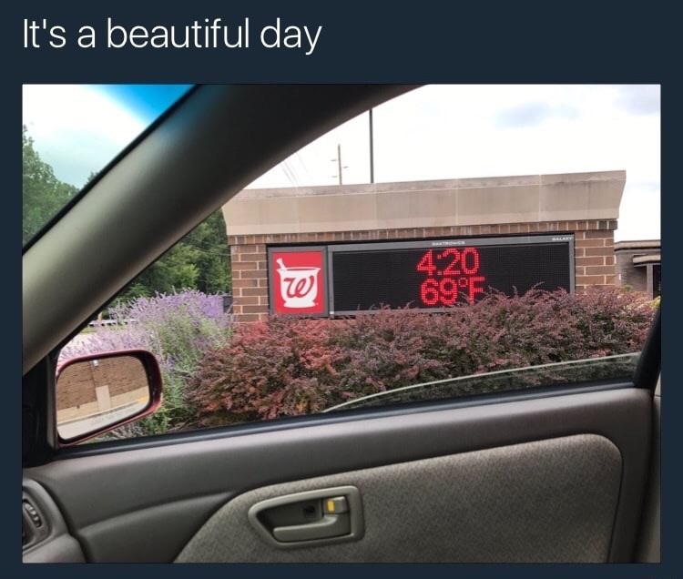 crow dank meme - It's a beautiful day 6996