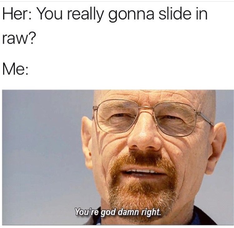 You are god damn right meme of Breaking Bad about sliding in raw.