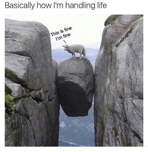 Goat on a rock stuck between two cliffs as how I am basically handling life.