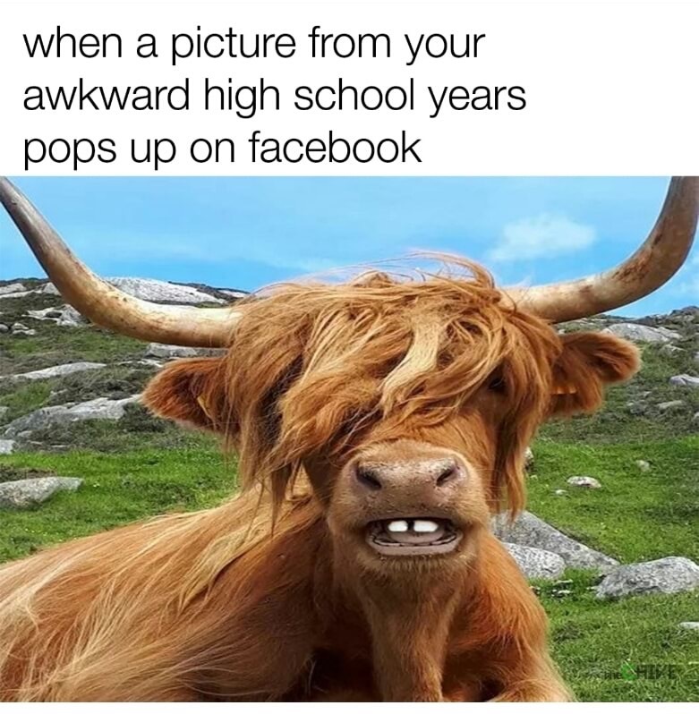 Funny meme of how it feels to find an awkward pic from when you went to high school.