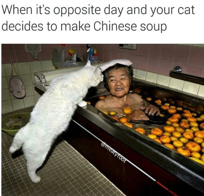 Cat trying to cook a Chinese person - the tables have turned.