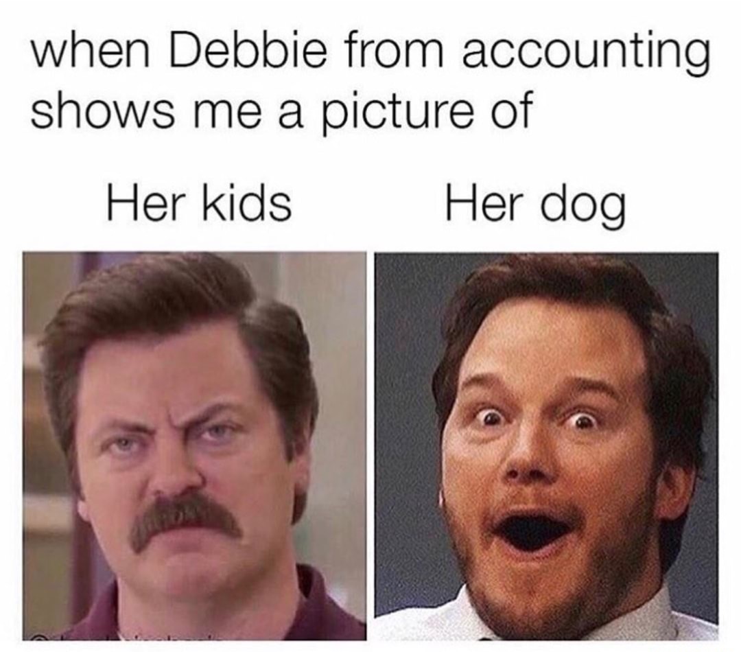 Reaction of Debbie from accounting showing picture of her kids vs picture of her dog.