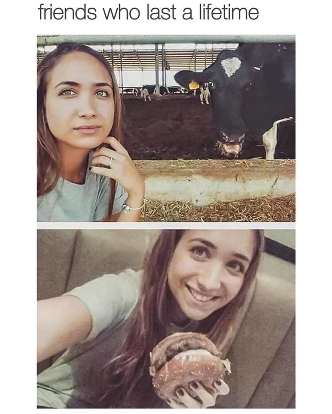Friends who last a lifetime meme of woman taking selfie by a cow, and then selfie eating a hamburger.